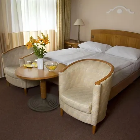 Dr. Adler Spa&kurhotel Františkovy Lázně