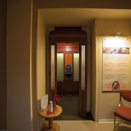 Dr. Adler Spa&kurhotel Hotel Františkovy Lázně