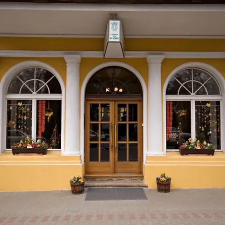 Dr. Adler Spa&kurhotel 3*