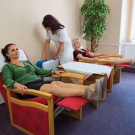 Dr. Adler Spa & Kurhotel 3* Frantiskovy Lazne