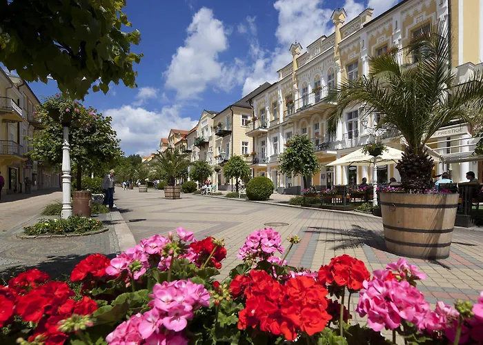 Hotel Dr. Adler Spa&kurhotel Františkovy Lázně