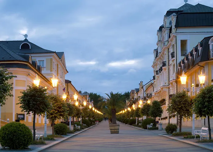 Hotel Dr. Adler Spa&kurhotel Františkovy Lázně